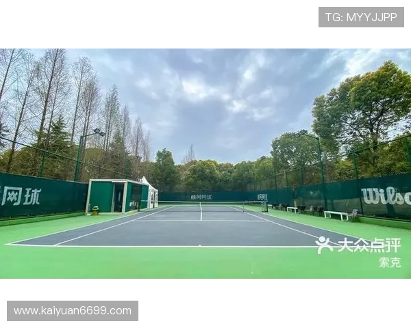 皇冠球网的创新设计带来的运动体验提升与用户反馈